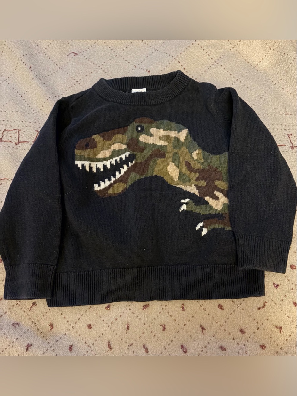 GAP Sweater with Camo T-Rex Graphic